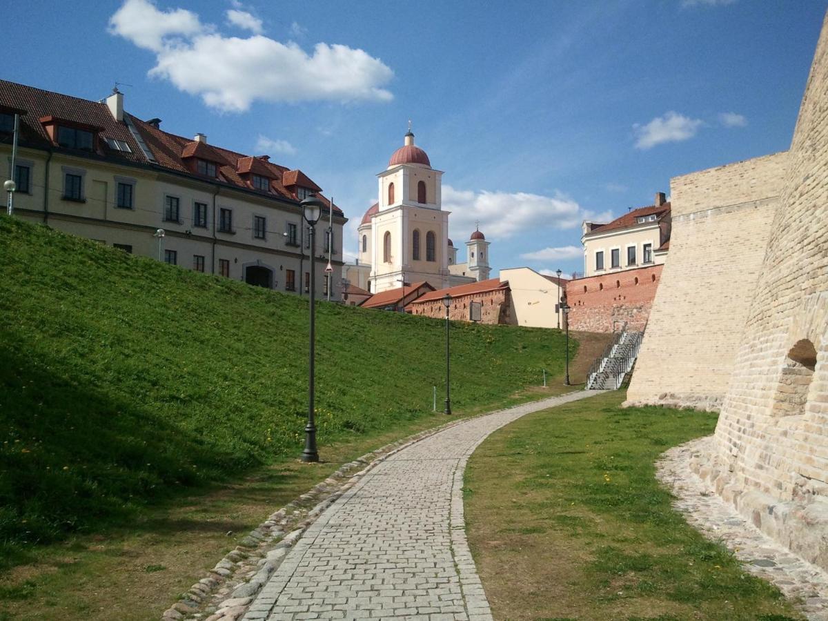 Centrally Located Cosy Studio Vilna Exterior foto